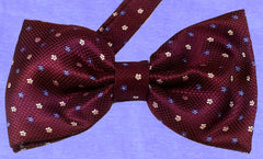 BURGUNDY SIREN