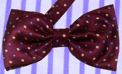 BURGUNDY SIREN